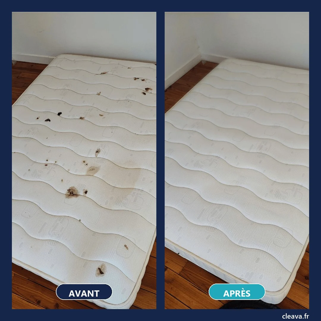 Matelas taché avant et après nettoyage et désinfection — Cleava